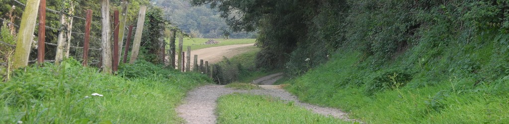 Chemin de campagne